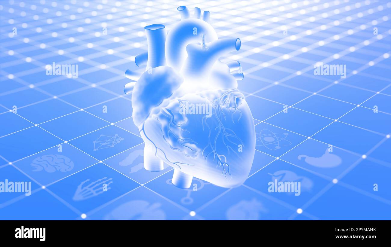 Medicina virtuale. Modello digitale del cuore umano. Tecnologie moderne in cardiologia, ricerca e trapianto. Illustrazione del concetto di assistenza sanitaria 3D Foto Stock