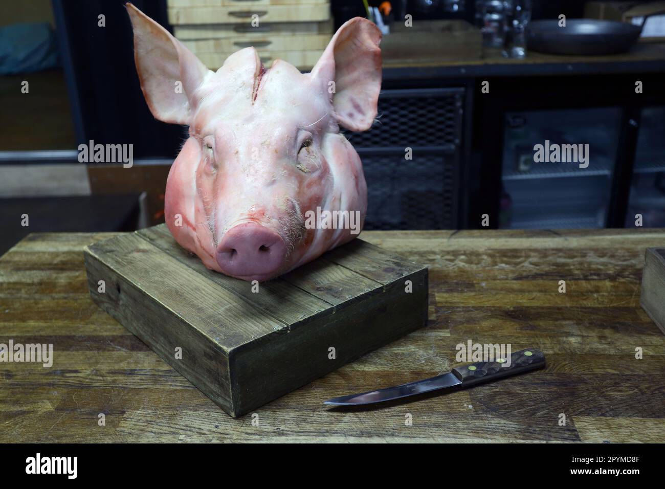 Testa di maiale su tagliere di legno, un giorno di corso di macelleria Foto Stock Testa di maiale su tagliere di legno, un giorno di corso di macelleria Foto Stock