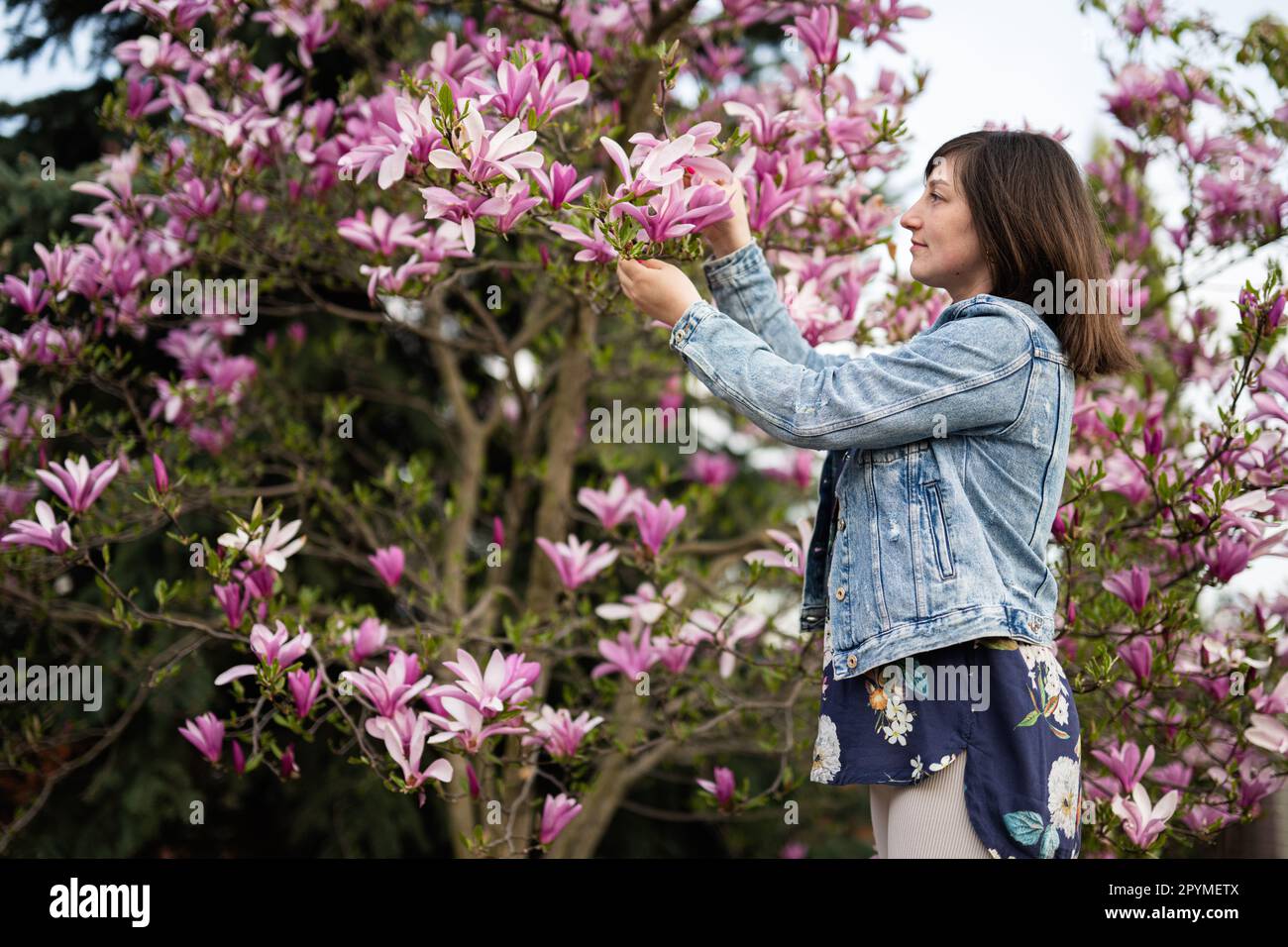 Donna tenera in giacca jeans godendo bella giornata di primavera vicino a magnolia albero fiorito. Attività primaverili. Foto Stock
