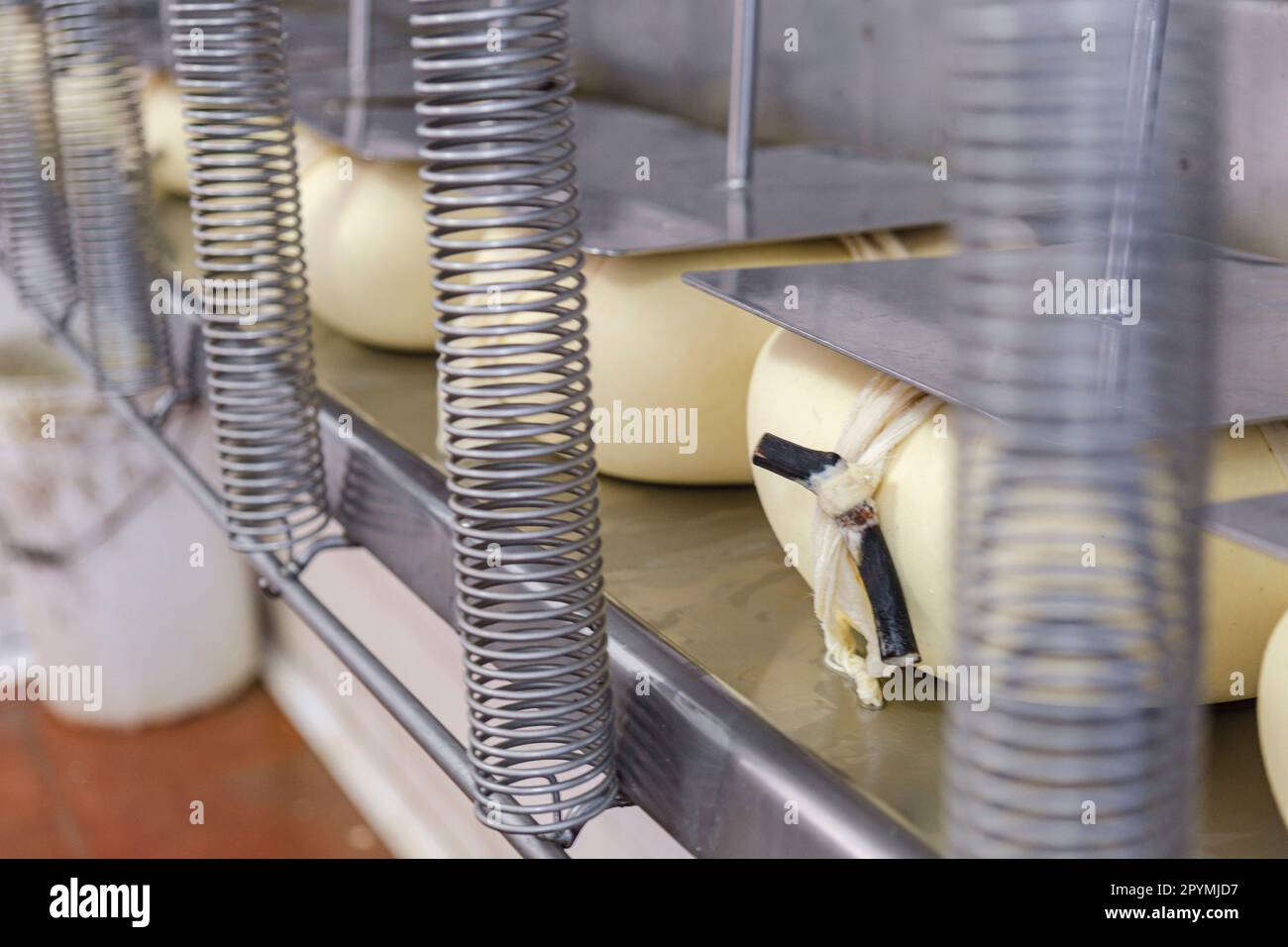 Pressatura del formaggio, produzione del formaggio es Tudons, Ciutadella, Minorca, Isole Baleari, Spagna Foto Stock