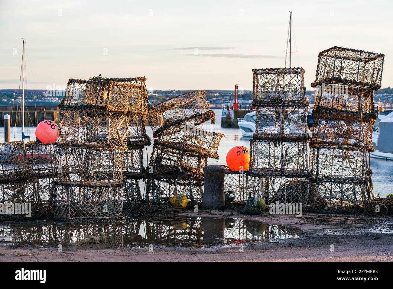 Gabbie di granchio e reti da pesca, porto di Torquay, Torbay, Devon, Inghilterra, Europa Foto Stock