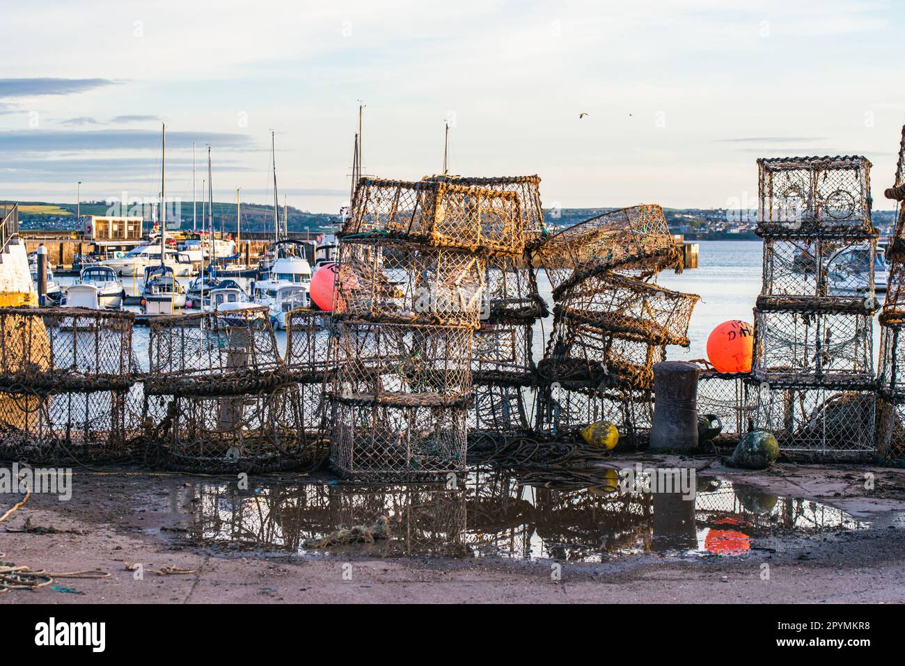Gabbie di granchio e reti da pesca, porto di Torquay, Torbay, Devon, Inghilterra, Europa Foto Stock