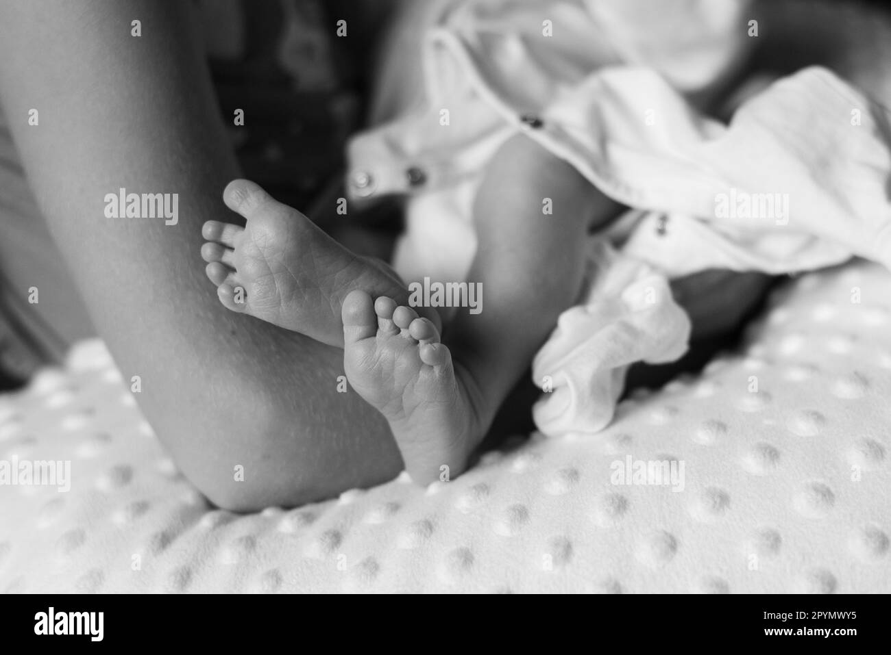 Primo piano dei piedi di un neonato. Il bambino è tenuto dalla sua sorella grande. Foto Stock