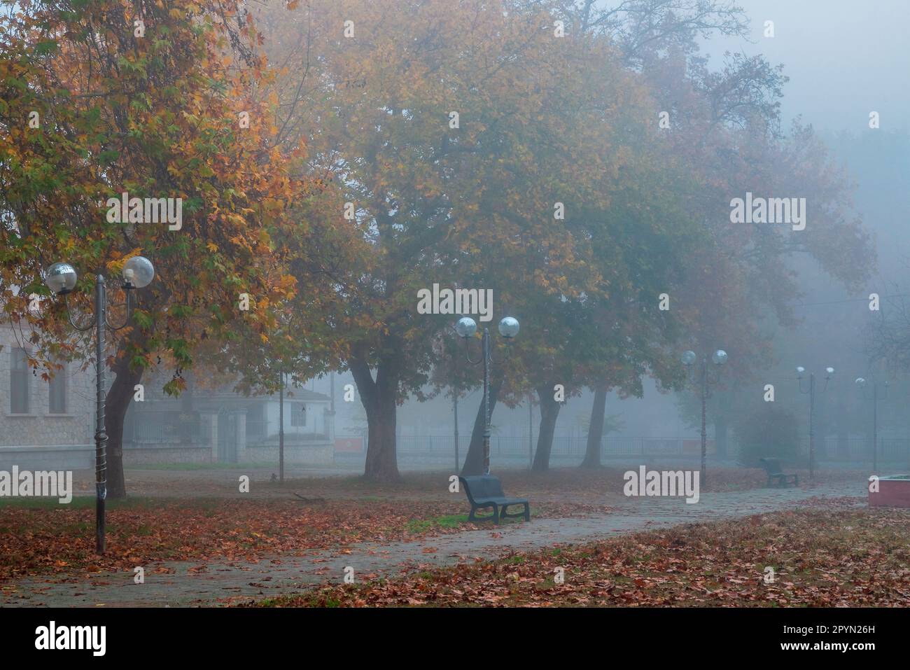 Giornata di Foggy nella città di Ambelonas, comune di Tyrnavos, Larissa, Tessaglia, Grecia. Foto Stock