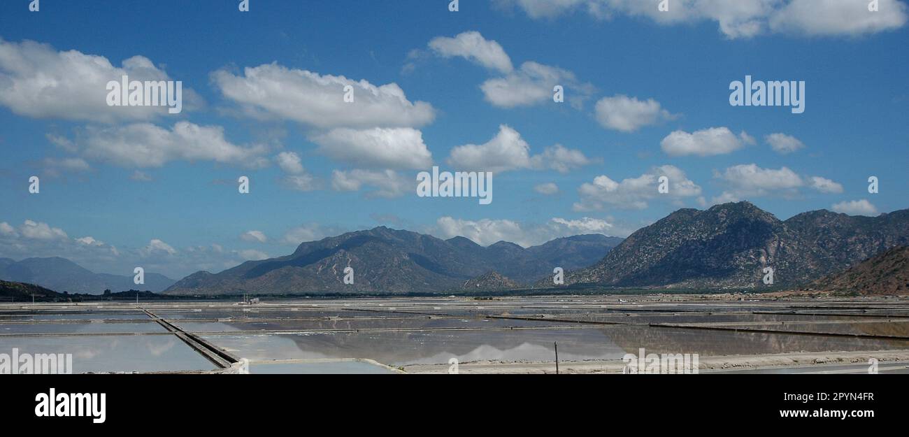 Campo di sale in Ninh Thuan Vietnam Foto Stock