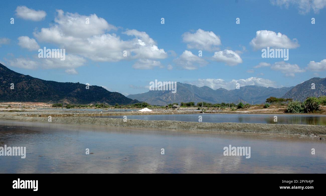Campo di sale in Ninh Thuan Vietnam Foto Stock