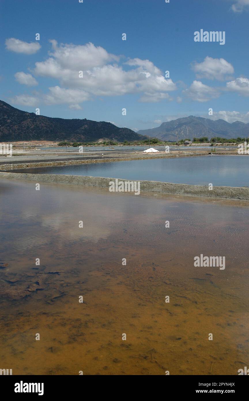 Campo di sale in Ninh Thuan Vietnam Foto Stock