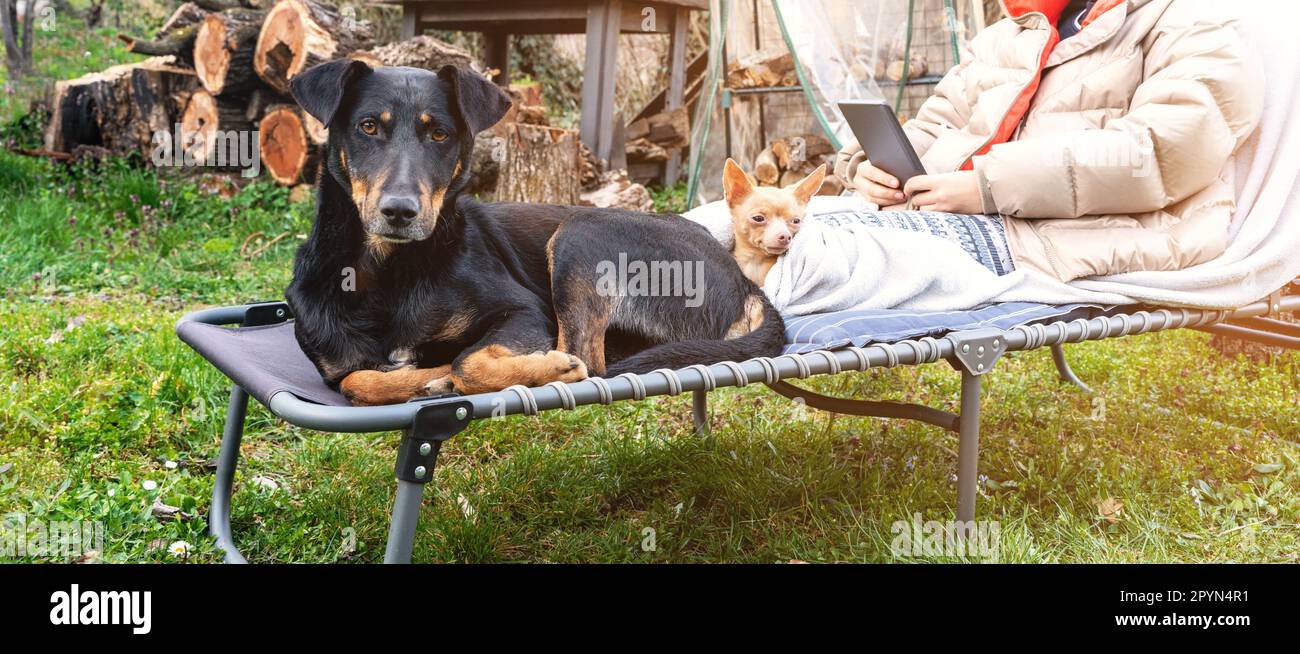 Lap dog e big dog sdraiati sulla poltrona insieme al proprietario all'aperto in campagna. Foto Stock