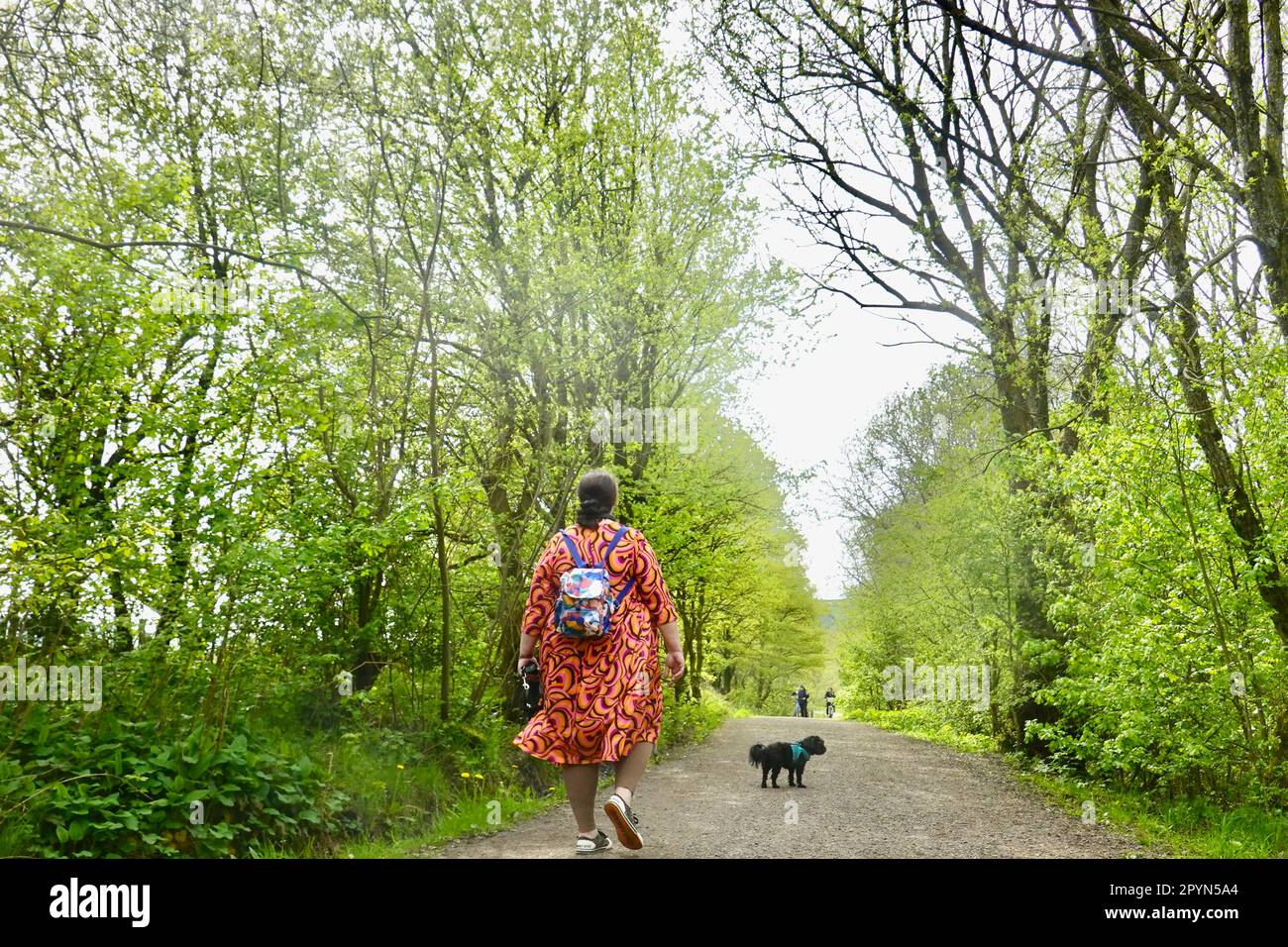 Una donna cammina il suo cane sul Sentiero della valle di Sett nel Derbyshire Foto Stock