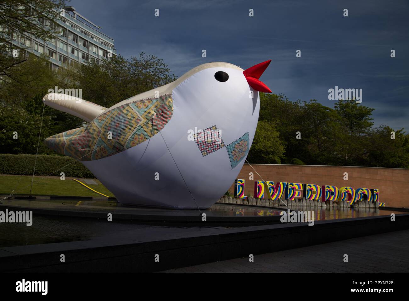 Soloveiko Songbird No. 6 - Liverpool Foto Stock