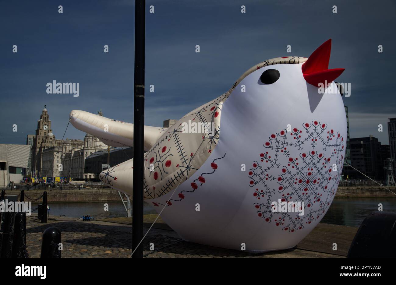 Ucraino Songbird No. 5 - Canning Dock, Liverpool Foto Stock