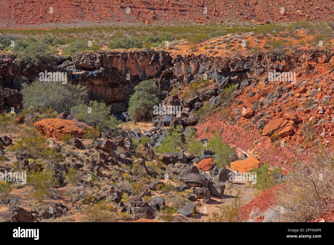 Lava Boulders in un arenaria Arroyo nello Snow Canyon state Park nello Utah Foto Stock