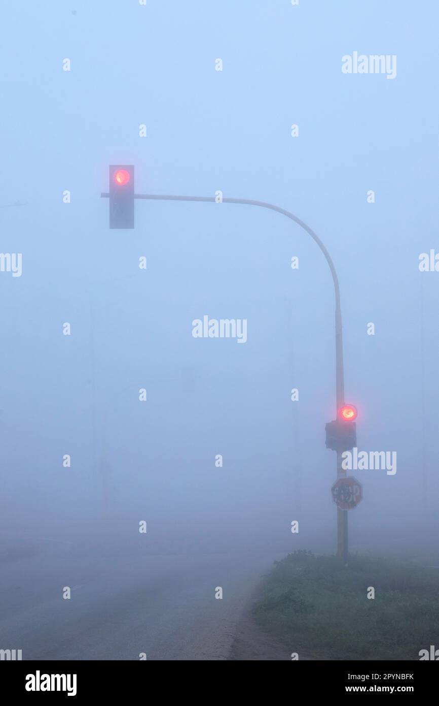 Semafori in nebbia profonda, città di Ambelonas, comune di Tirnavos, Larissa, Tessaglia, Grecia. Foto Stock