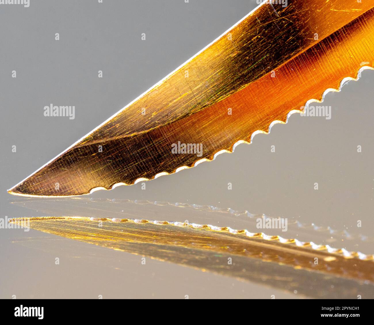 Tagliente dentellato con riflessione speculare Foto Stock
