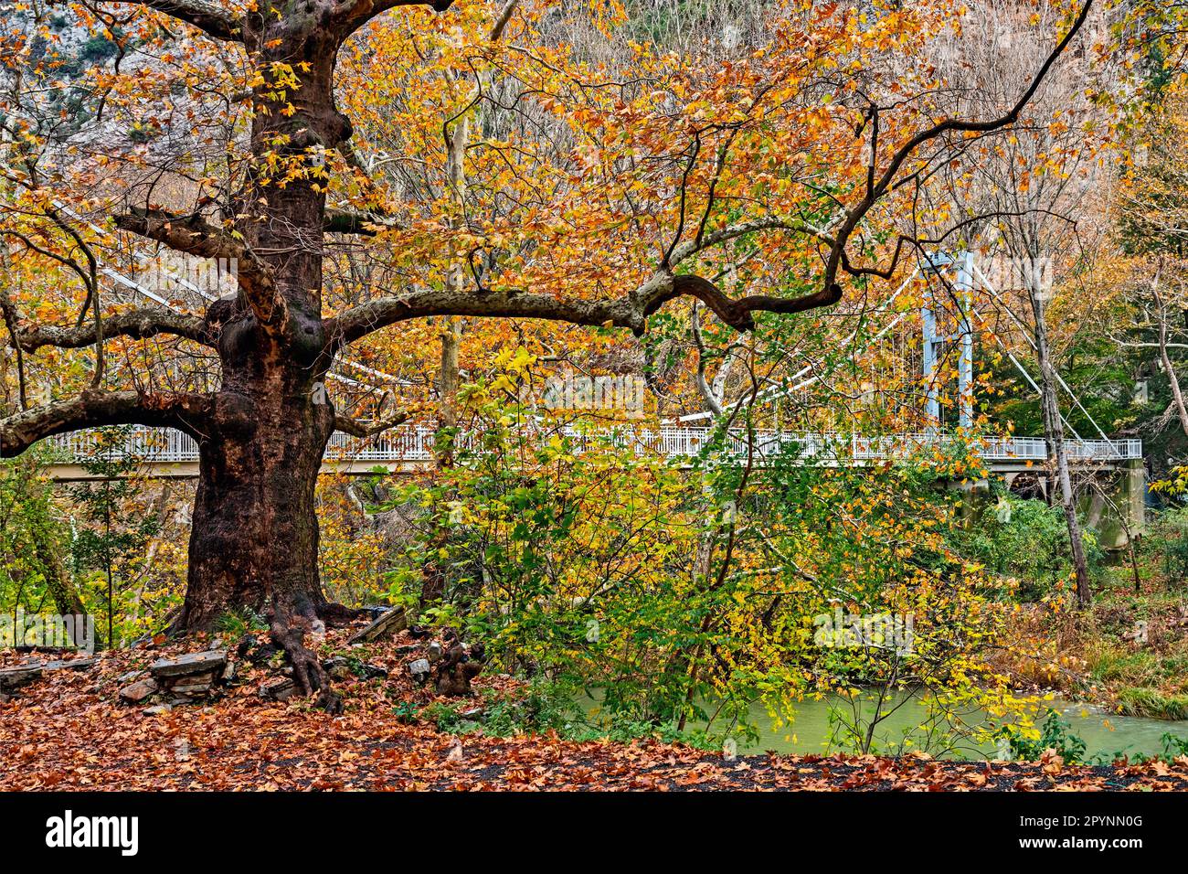 Il ponte sospeso sul fiume Pineios, la valle del tempo (o 'Tempe'), Larissa, Tessaglia, Grecia. Foto Stock