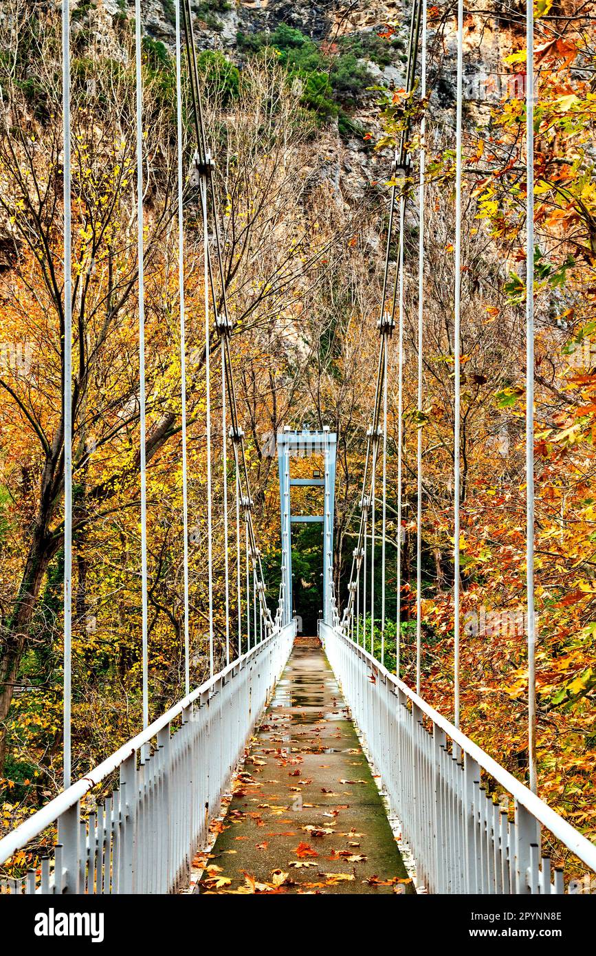 Il ponte sospeso sul fiume Pineios, la valle del tempo (o 'Tempe'), Larissa, Tessaglia, Grecia. Foto Stock