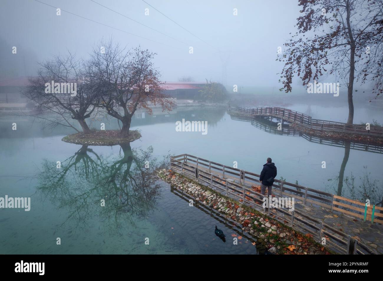 Solitario a Vryssi Tyrnavou, un piccolo lago pittoresco e una bella zona ricreativa vicino alla città di Tyrnavos, Larissa, Tessaglia, Grecia. Foto Stock