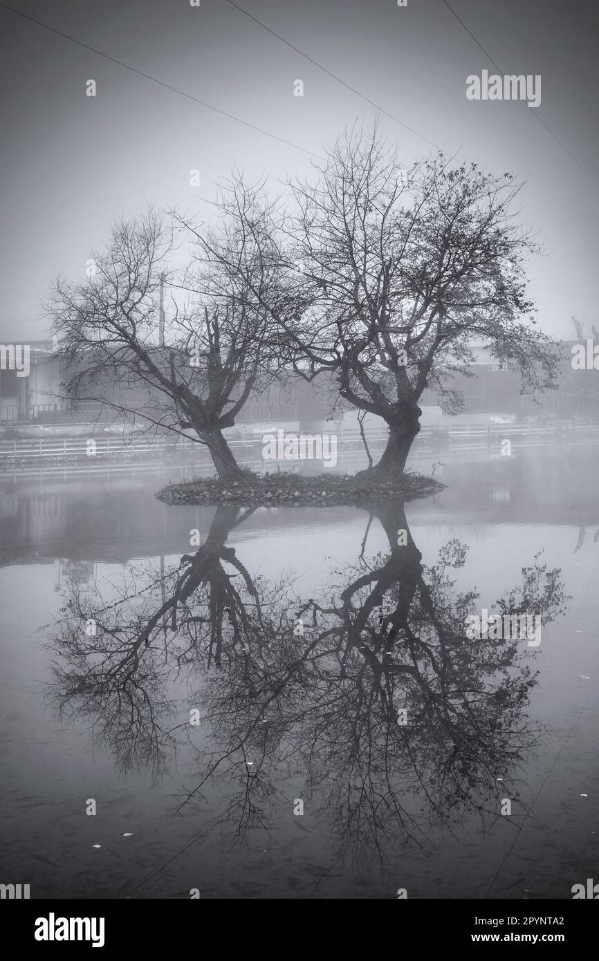 Foto scattata a Vryssi Tyrnavou, un piccolo lago pittoresco e una bella area ricreativa vicino alla città di Tyrnavos, Larissa, Tessaglia, Grecia. Foto Stock
