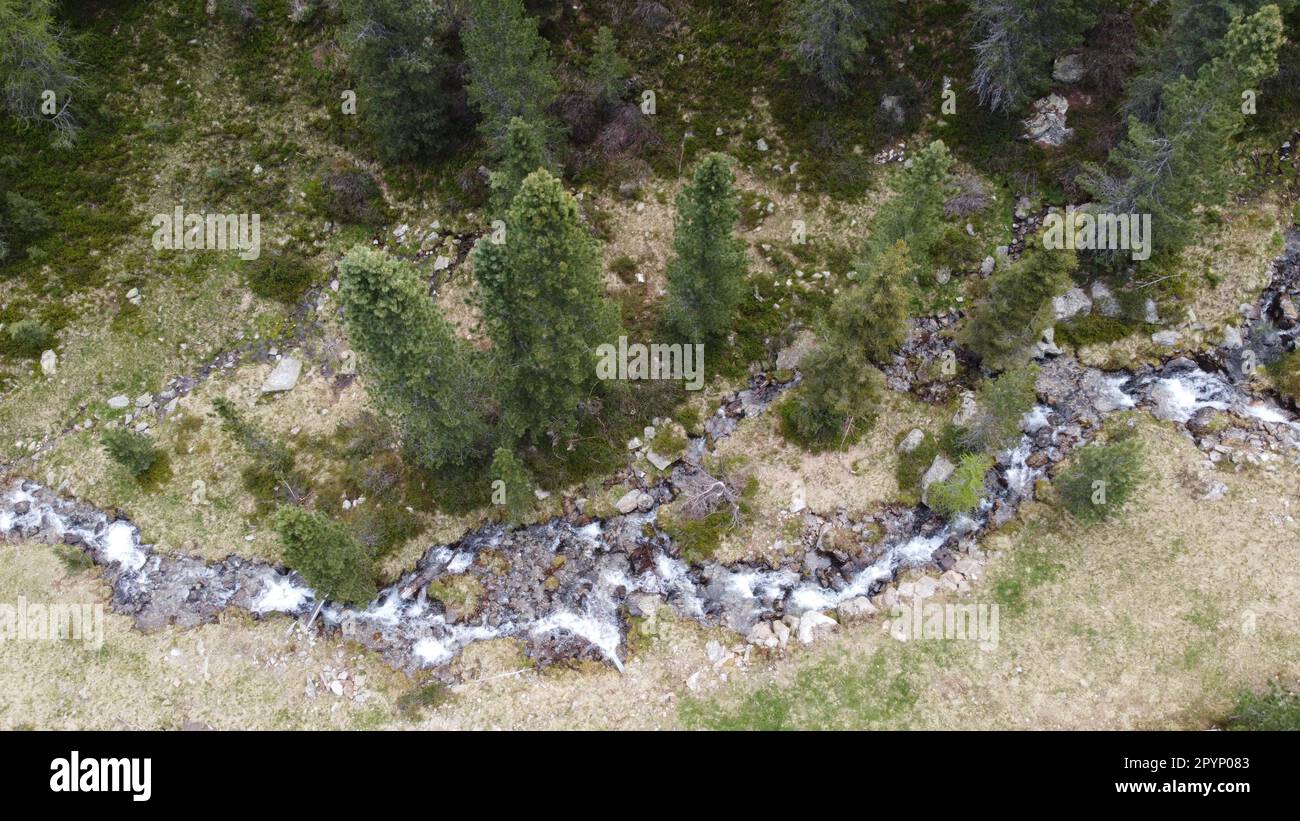 Kleiner Gebirgsbach, welcher sich zwischen den Bäumen durch ins tal schlängelt Foto Stock