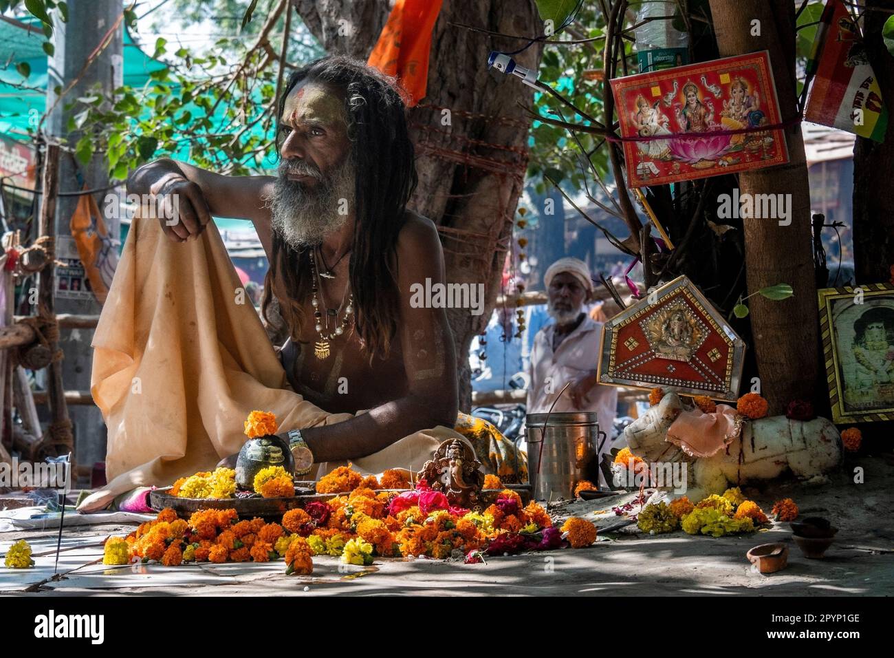 Un Sadhu alla fiera del cammello di Pushkar, Pushkar, Rajasthan, India Foto Stock