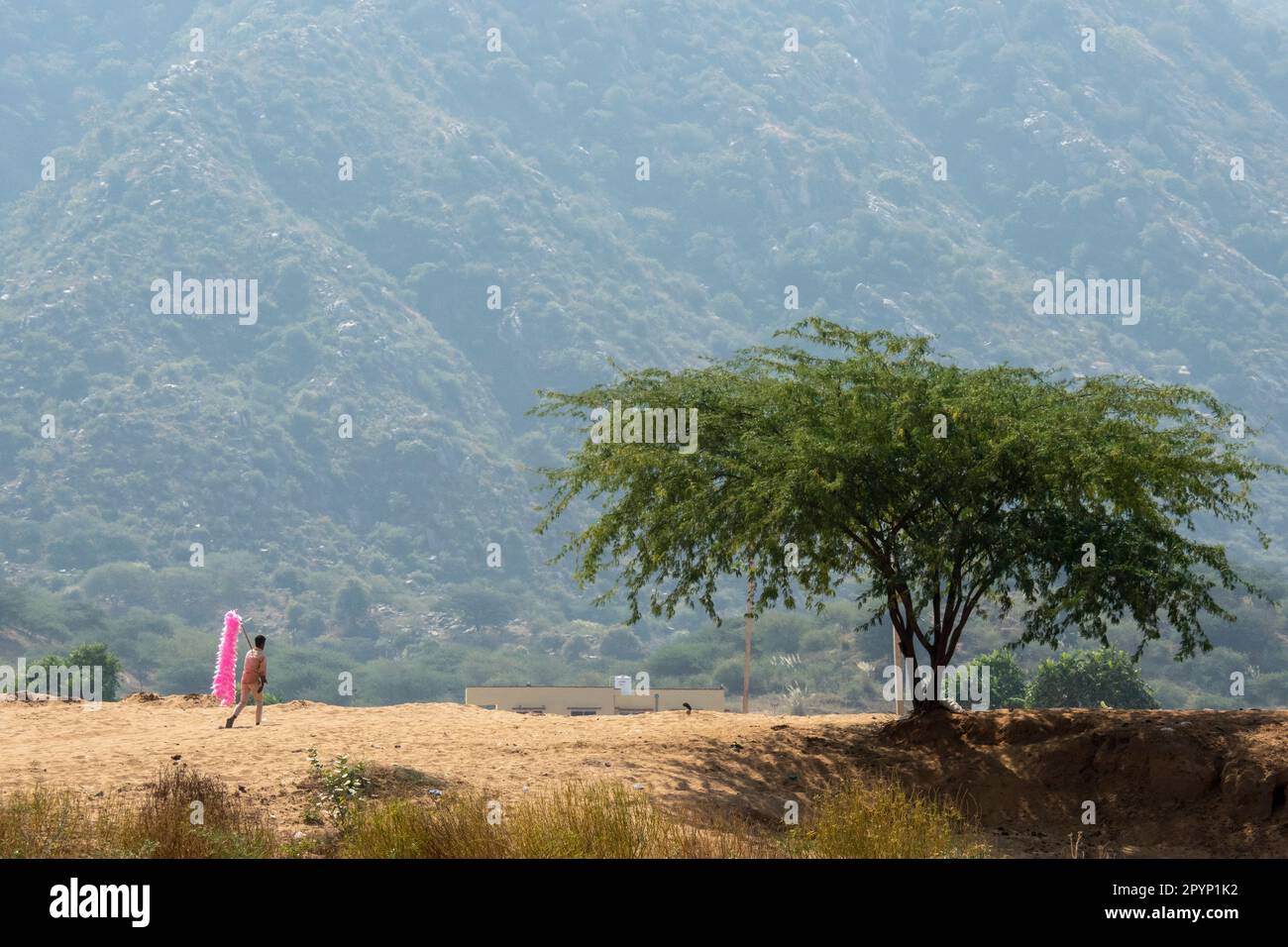 Candyfloss Venditore, Pushkar, Rajasthan, India Foto Stock