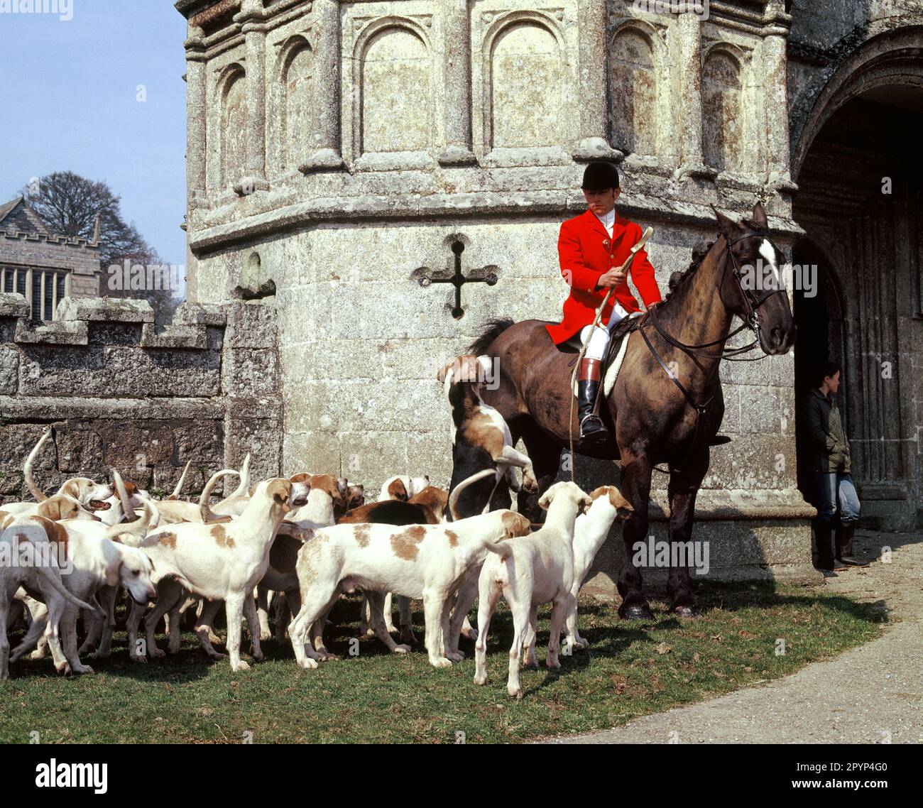 Inghilterra. Cornovaglia. Padrone di Foxhounds sul suo cavallo con il pacchetto di hounds a Lanhydrock Gatehouse, Bodmin. Foto Stock