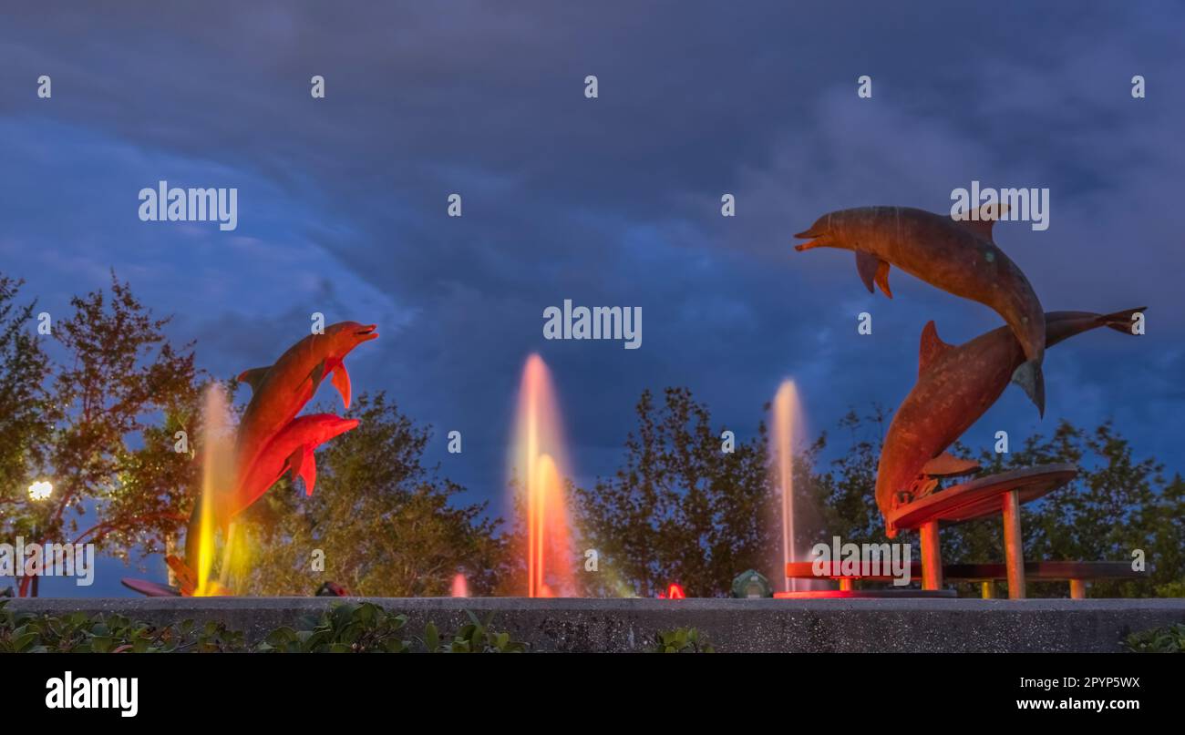 La fontana dei delfini nel Bayfront Park è illuminata di notte a Sarasota Florida USA Foto Stock