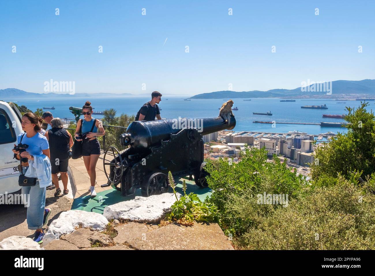 Turisti che guardano i macachi di Barbary (scimmie) su un vecchio cannone sulla Rocca di Gibilterra Foto Stock