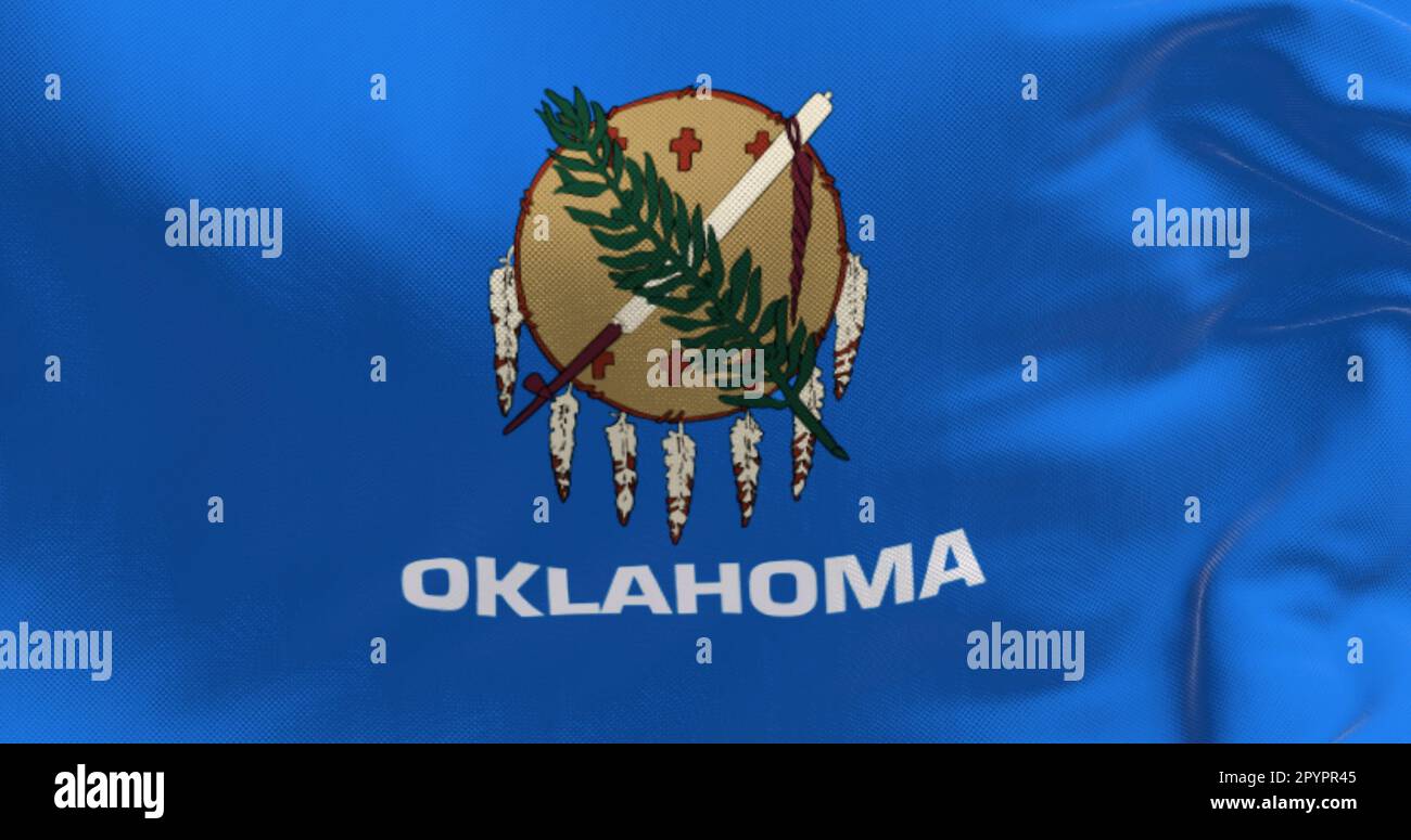 Particolare dell'onda della bandiera dello stato dell'Oklahoma. Campo blu con scudo in pelle di bufala, rametto di ulivo e pipa di pace. Sfondo strutturato. illustrazione 3d Foto Stock