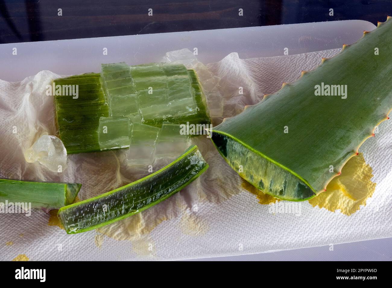 Polpa di foglia di aloe vera da agricoltura biologica Foto Stock