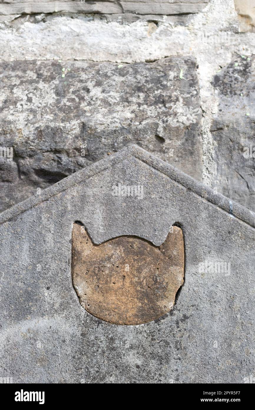 Particolare della faccia di un gatto in un vecchio pennarello di pietra in un cimitero di Dublino, Irlanda. Foto Stock