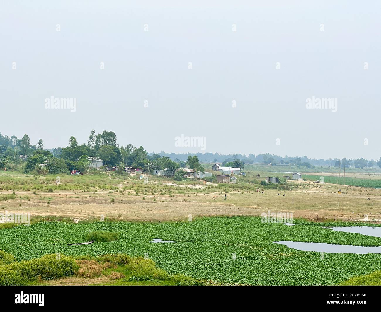 Vista panoramica della zona rurale del Bangladesh. Foto Stock