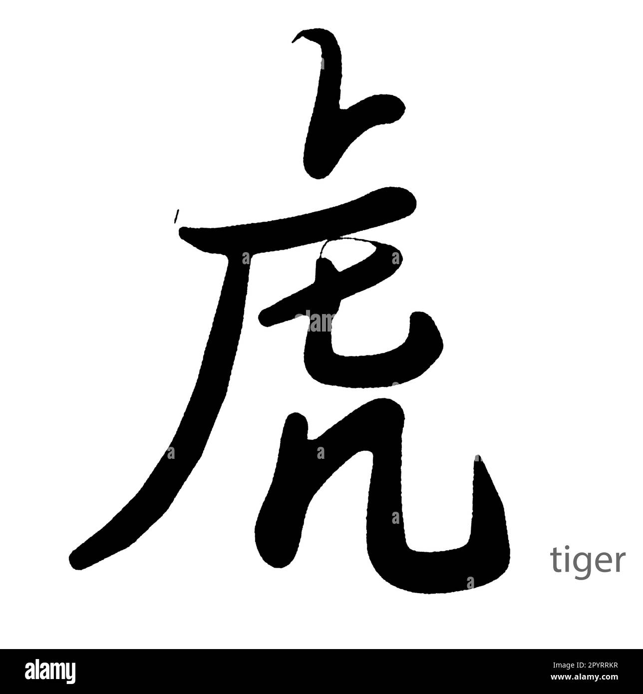 Calligrafia disegnata a mano della parola tigre su sfondo bianco, rendering 3D Foto Stock