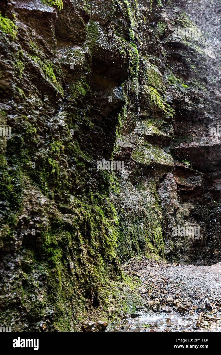 Le scogliere con gocce d'acqua. Foto Stock