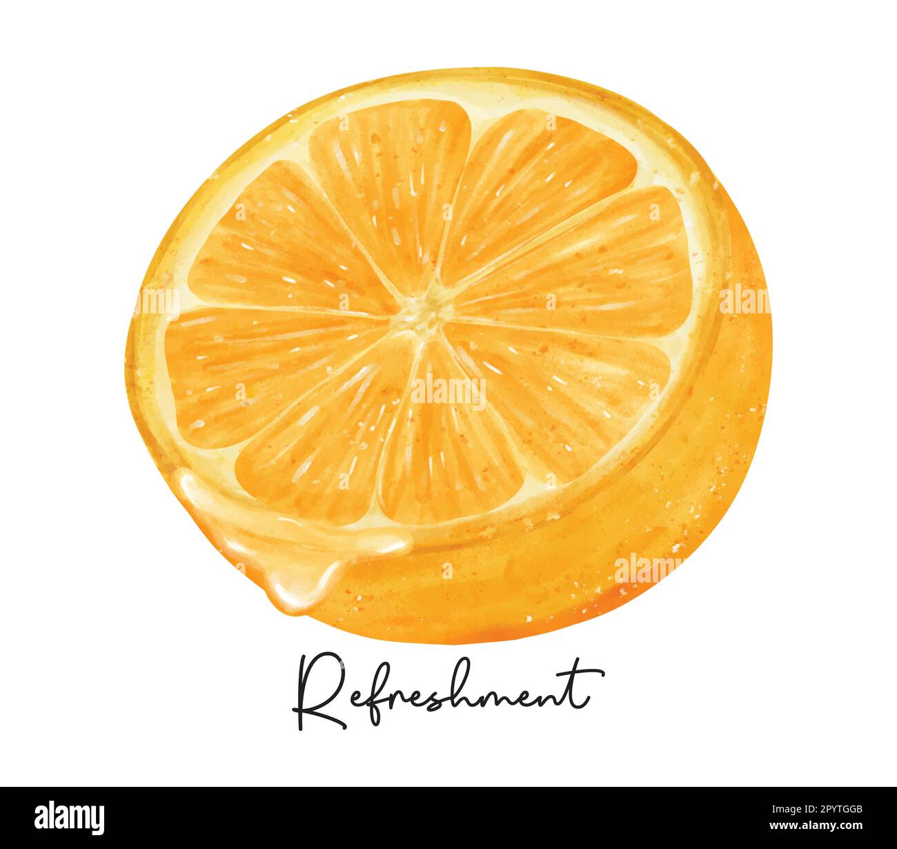 Rinfresco mezzo taglio di frutta arancione con acquerello liquido pittura a mano semirealista vettore di illustrazione isolato su sfondo bianco. Illustrazione Vettoriale