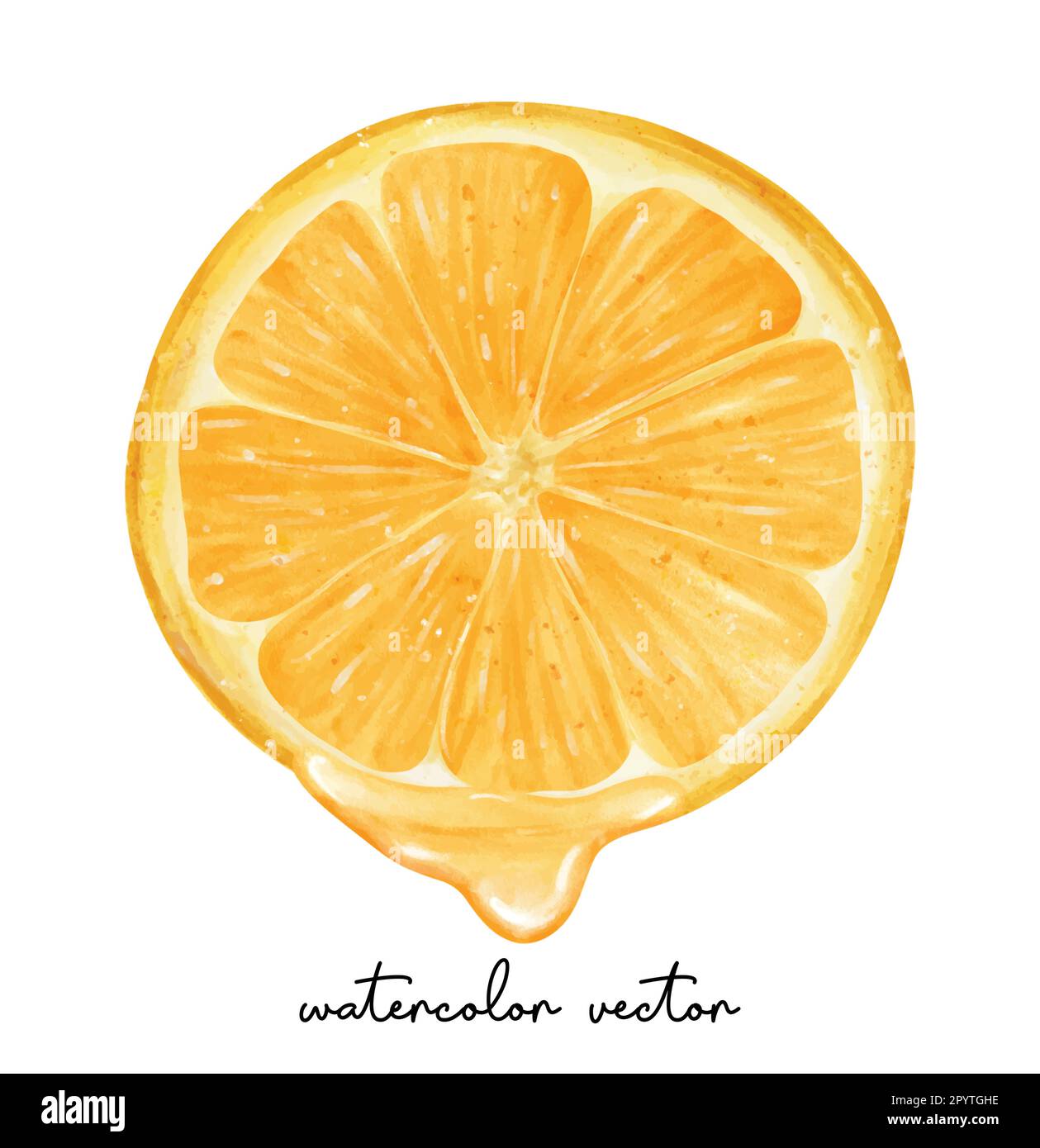 Rinfresco pezzo di frutta d'arancia con acquerello liwuid pittura a mano semi realistic illustrazione vettore isolato su sfondo bianco. Illustrazione Vettoriale