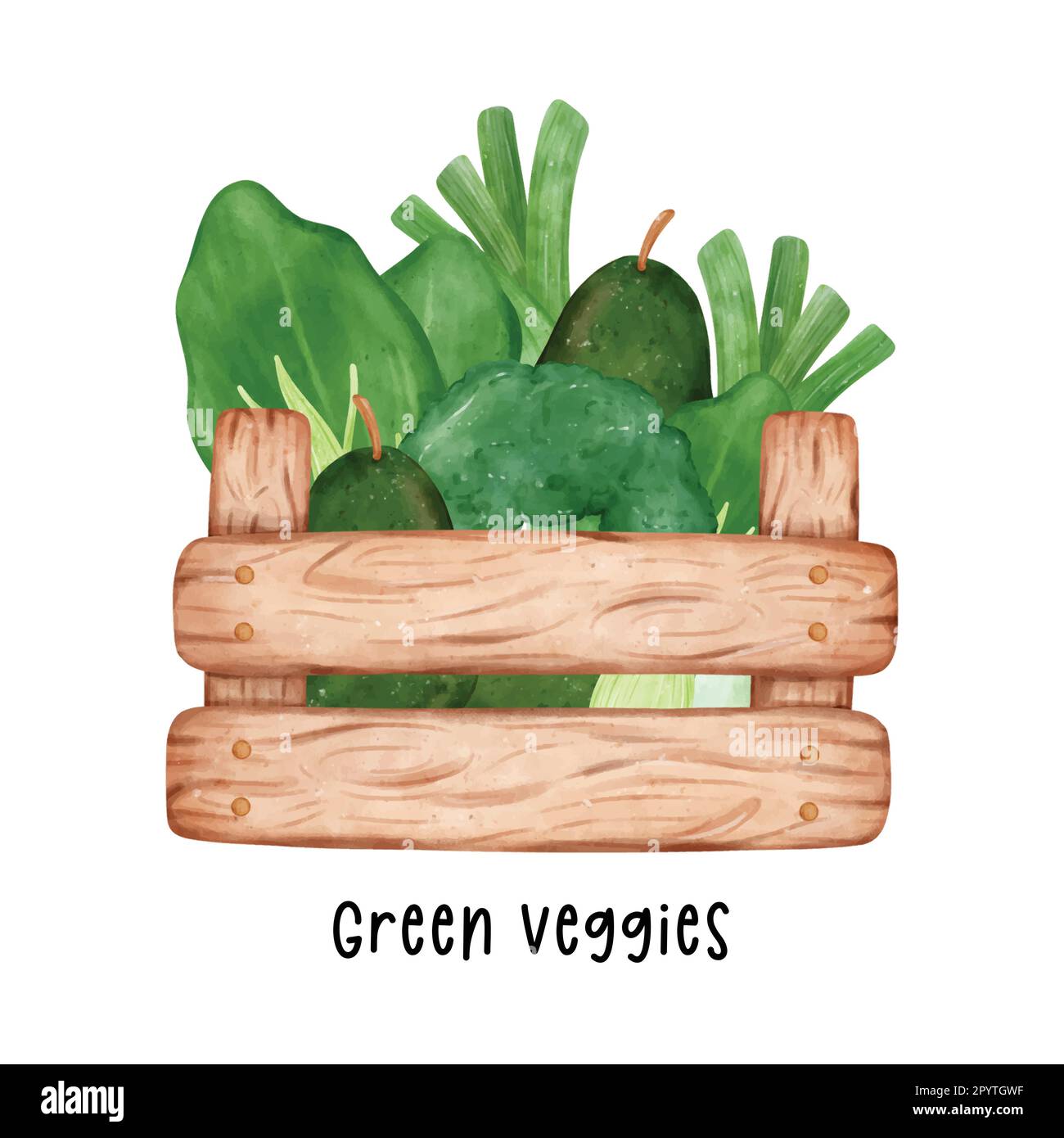 gruppo di verdure verdi assortite acquerello in legno cestello contenitore giardino dipinto a mano isolato su sfondo bianco. Illustrazione Vettoriale