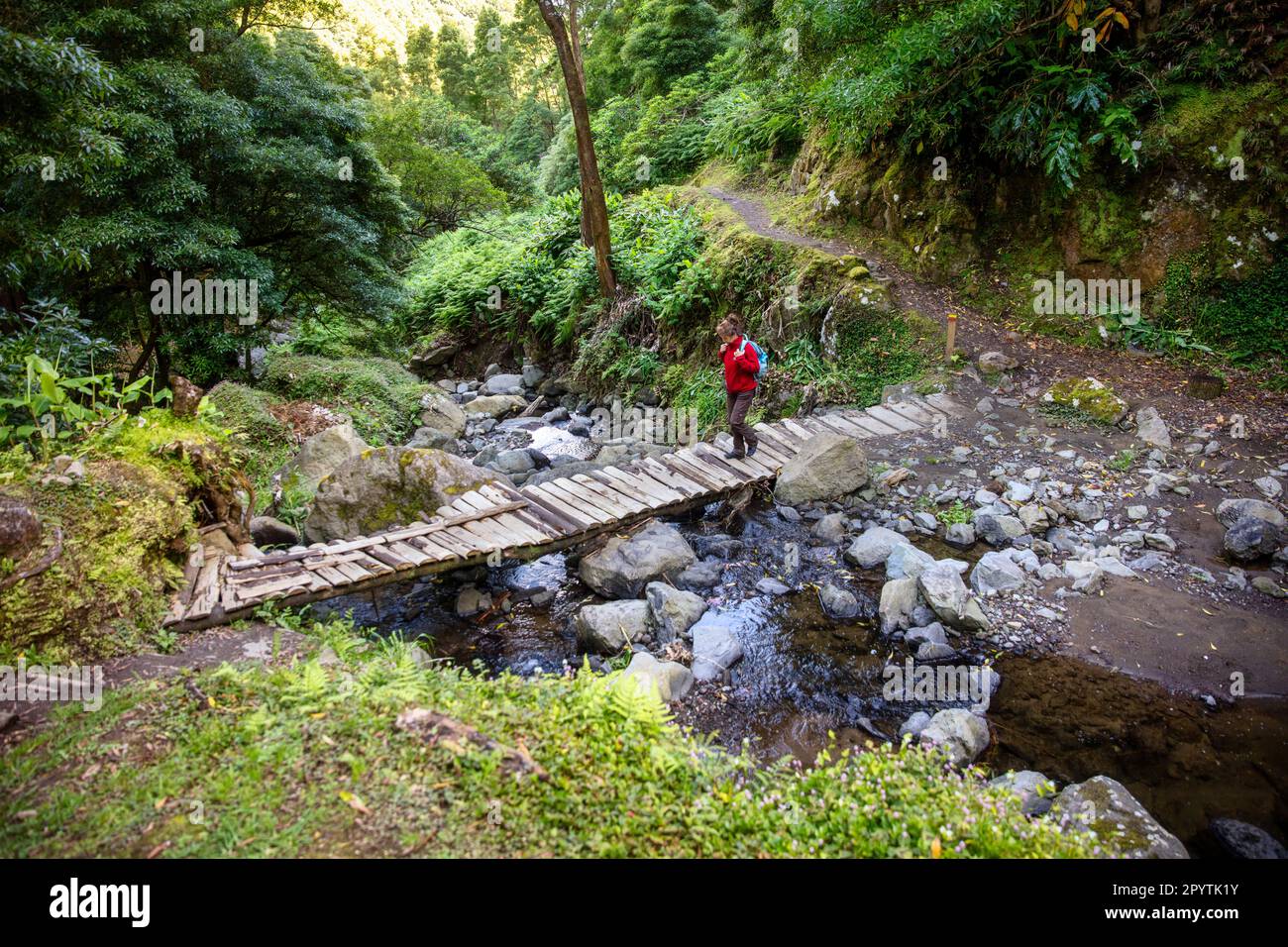 Portogallo, Azzorre, Isola di Sao Miguel, Faial da Terra, Salto do Prego sentiero. Foto Stock