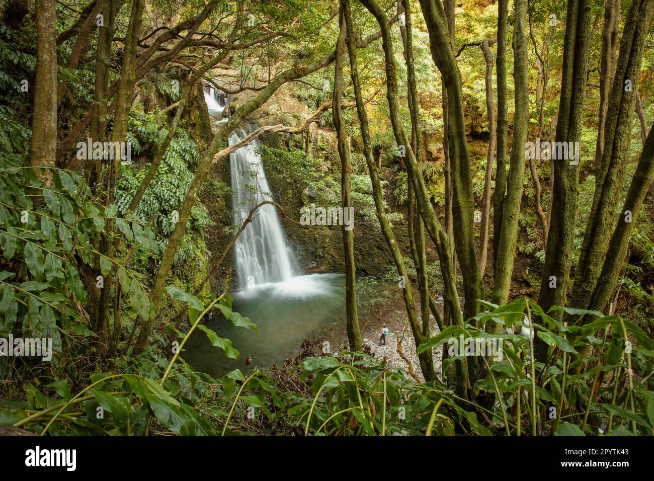 Portogallo, Azzorre, Isola di Sao Miguel, Faial da Terra, Salto do Prego sentiero. Cascata. Escursionista. Foto Stock
