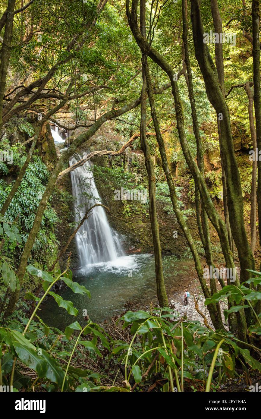 Portogallo, Azzorre, Isola di Sao Miguel, Faial da Terra, Salto do Prego sentiero. Cascata. Escursionista. Foto Stock