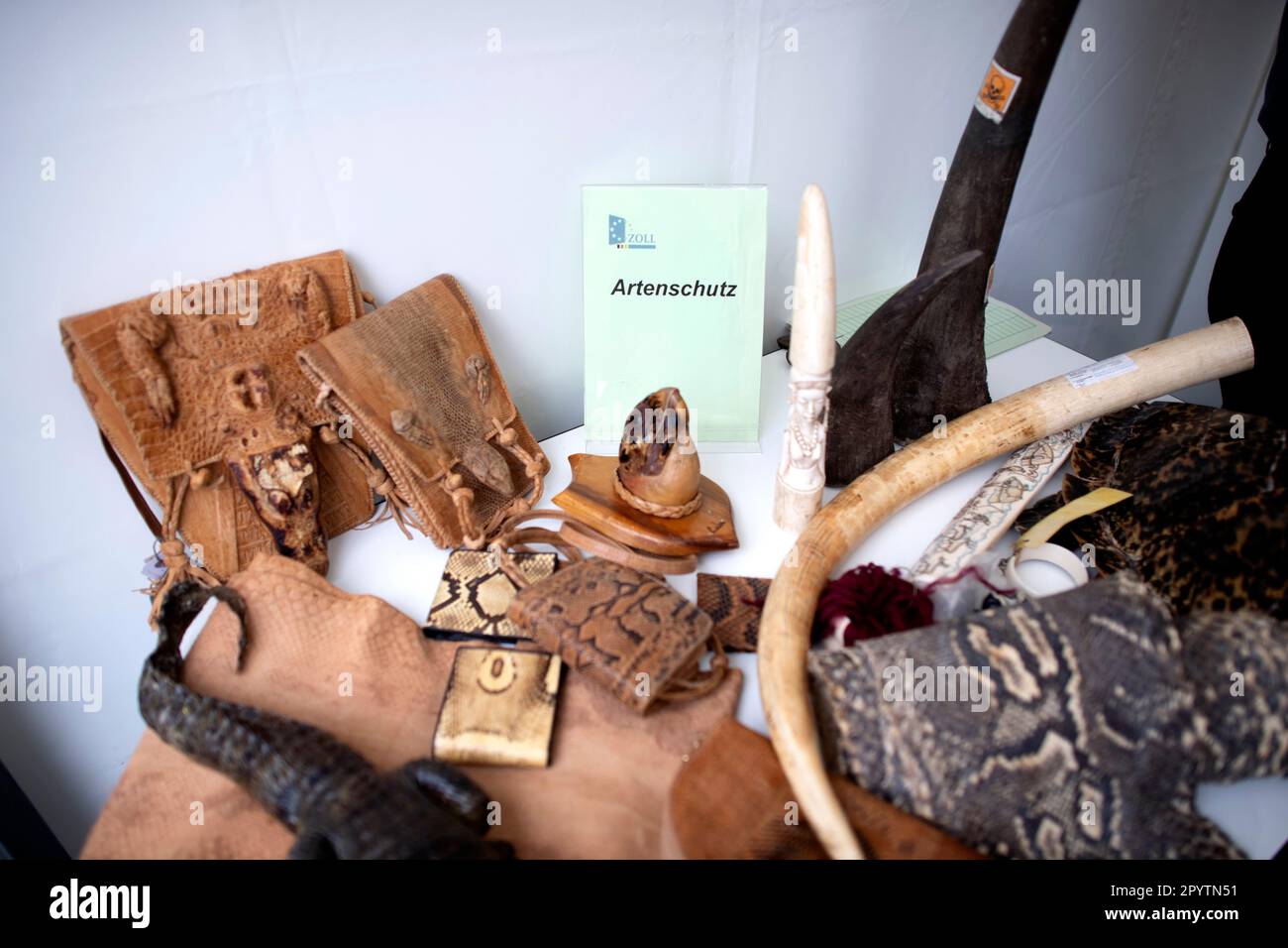 Stand delle dogane tedesche sul tema della protezione delle specie con reperti confiscati in occasione del colloquio ministeriale di un colloquio ministeriale il primo giorno dell'Open Day del governo tedesco, Alla quale hanno partecipato altri membri del governo tedesco con lo slogan Demokratie laedt ein presso il Ministero federale delle finanze di Wilhelmstrasse a Berlino, Germania. Foto Stock