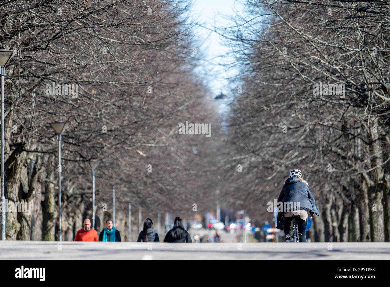 Un ciclista e pedoni sulla passeggiata meridionale all'inizio della primavera a Norrköpig, Svezia. Foto Stock