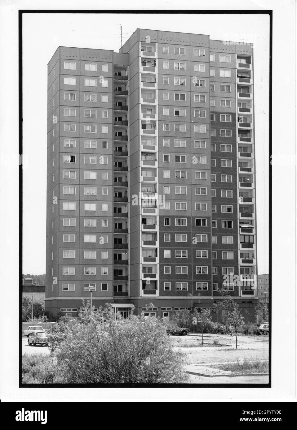 Modernizzazione (nel novembre 1992) di 97 appartamenti nell'alto edificio del 70s a Schilfhof 20 a Schlaatz a Potsdam. Ristrutturazione. Lavori di costruzione. Edilizia construction. Zona residenziale. Foto:Gewoba,18.07.1992, royalty-free? [traduzione automatica] Foto Stock