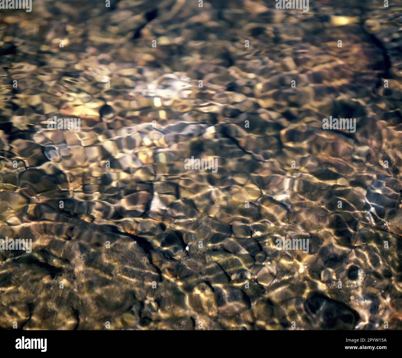 Giappone. Primo piano sulla natura. Ruscello poco profondo. Foto Stock