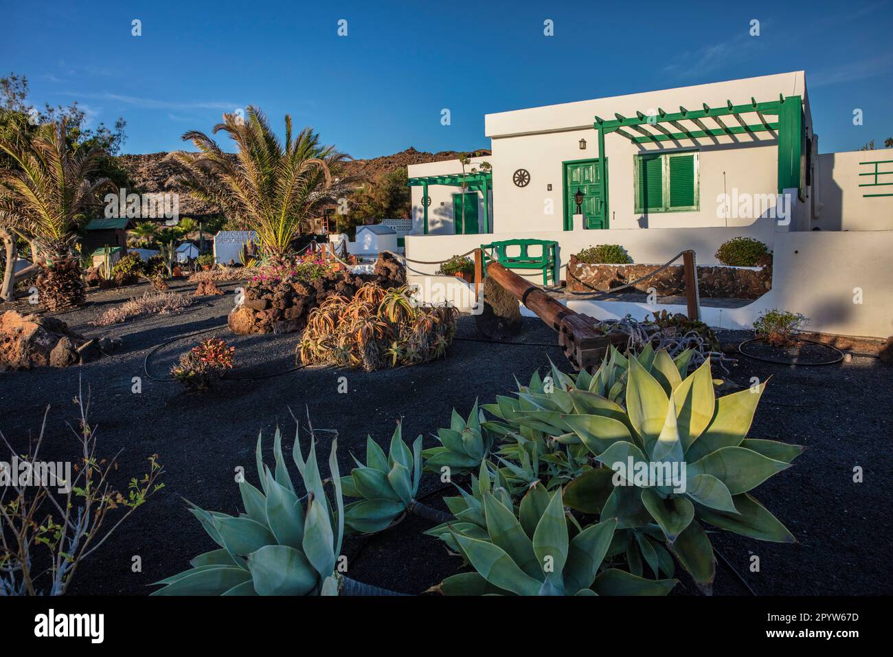 Spagna, Isole Canarie, Lanzarote, Charco del Palo. Casa residenziale con giardino. Pianta succulenta, cactus, cactus. Foto Stock