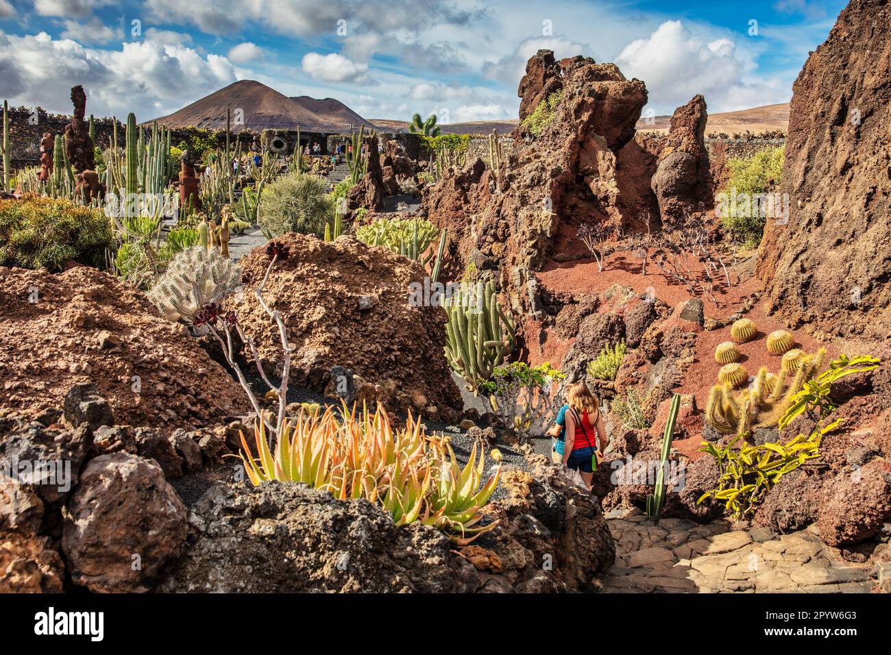 Spagna, Isole Canarie, Lanzarote, Guatiza. Giardino di Cactus, Jardin de Cactus, progettato da Cesar Manrique. Foto Stock