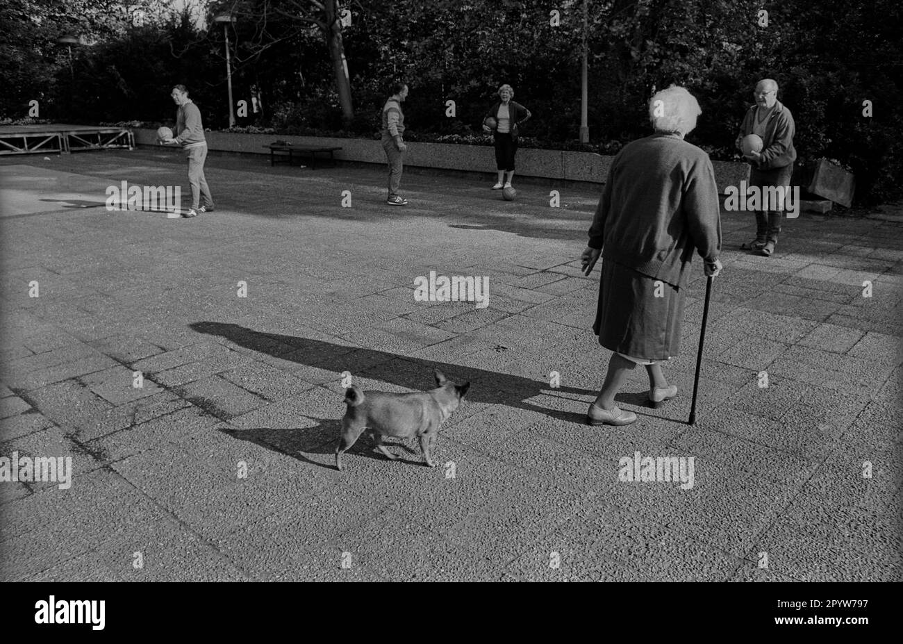 GDR, Berlino, 07.05.1989, Monbijoupark, donna anziana con cane, anziani che fanno sport, [traduzione automatica] Foto Stock