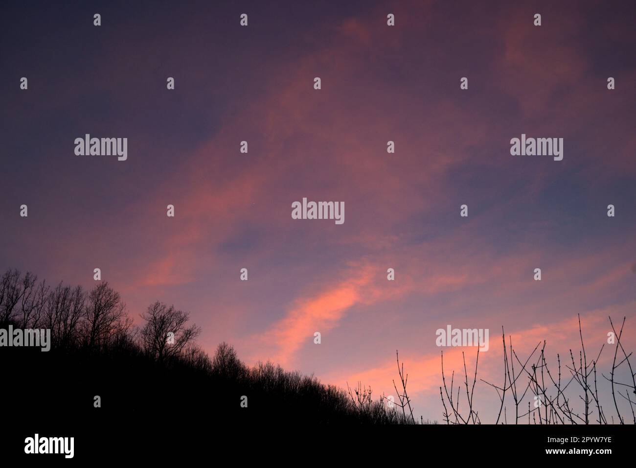 silhouette di alberi in collina al tramonto con cielo di colore tenue in magenta, rosa, blu orizzontalmente Foto Stock silhouette di alberi in collina al tramonto con cielo di colore tenue in magenta, rosa, blu orizzontalmente Foto Stock