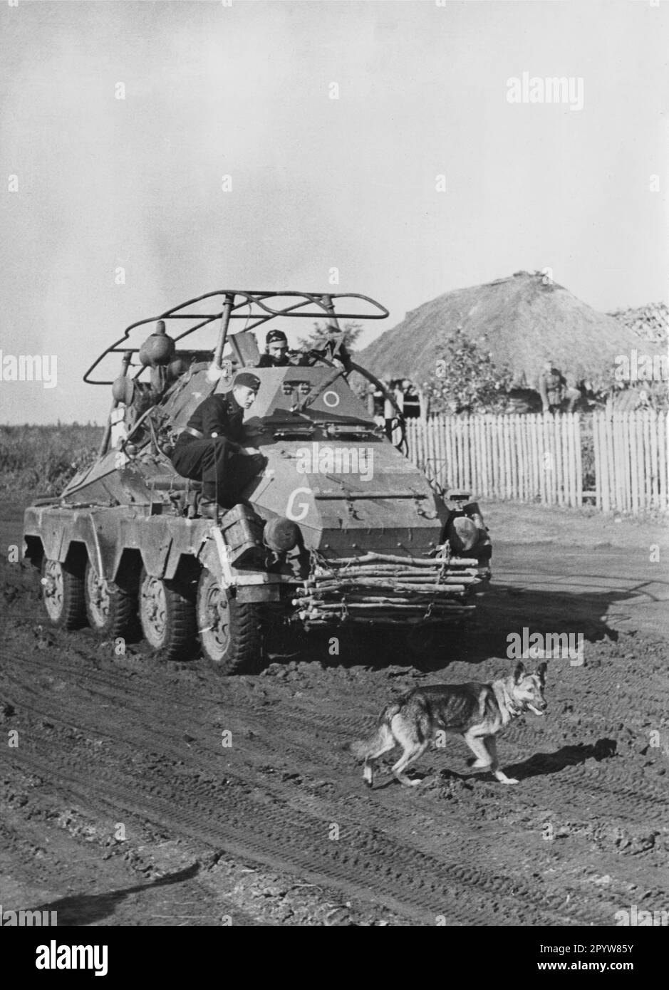 SdKfz 231 del gruppo corazzato Guderiano nella parte centrale del fronte Orientale. Si dice che il cane da pastore sulla strada sia un cane da miniera, addestrato a strisciare sotto un veicolo blindato con una carica esplosiva. I soldati cercano di vedere se il cane andrà sotto il veicolo, ma il cane rifiuta. [traduzione automatica] Foto Stock