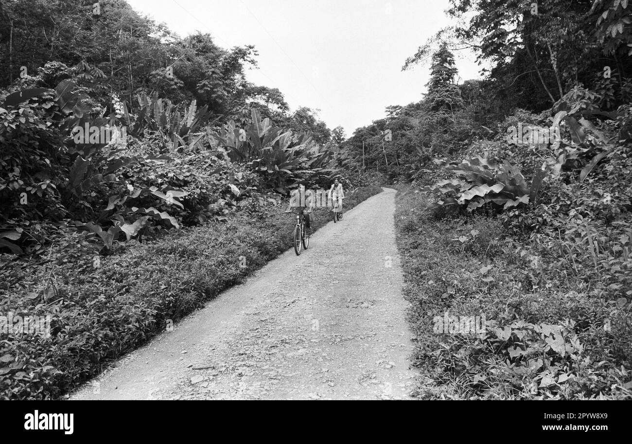 Costa Rica, Puerto Viejo, 20/08/1991. archivi. 29-07-36 San José foto: Percorso attraverso la giungla [traduzione automatica] Foto Stock